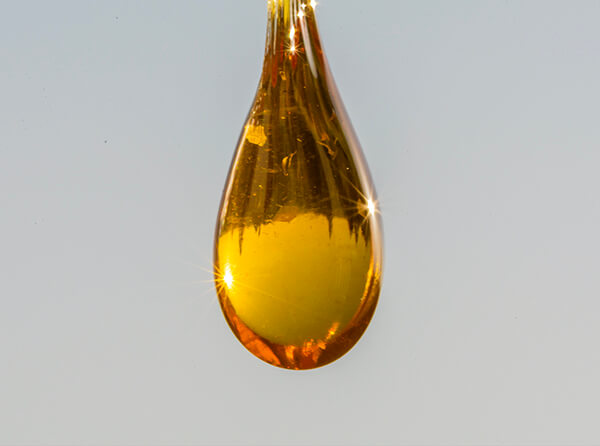Close-Up of Golden Drop of Thick CBD on Grey Background