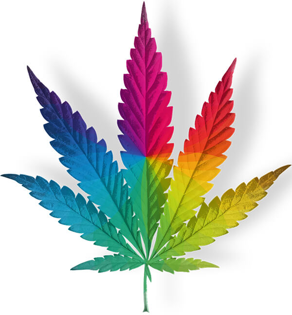 CBD Spectrum Hemp Leaf Filled with Rainbow Color Spectrum