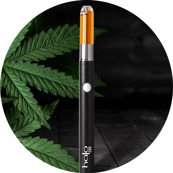 Halo CBD Vape Pen Halo CBD Vape Pen Next To Hemp Leaf